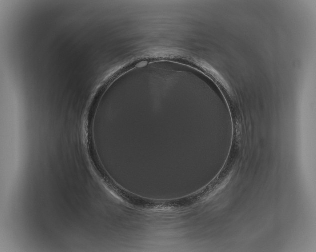 X0000111120581200906301312