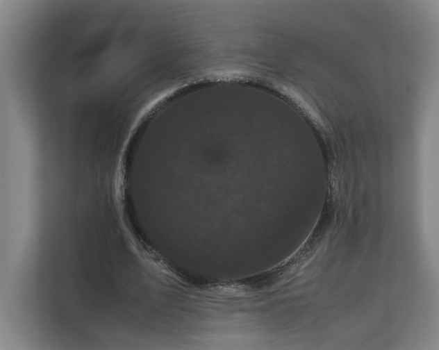 X0000111120583200906301312