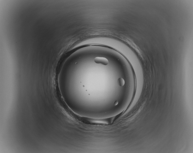 X0000111120585200906301312