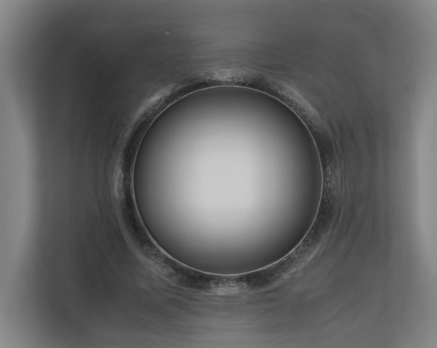 X0000111120587200906301312