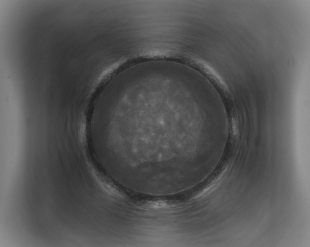 X0000111120588200906301312