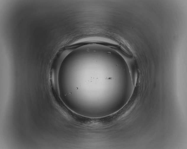 X0000111120589200906301312