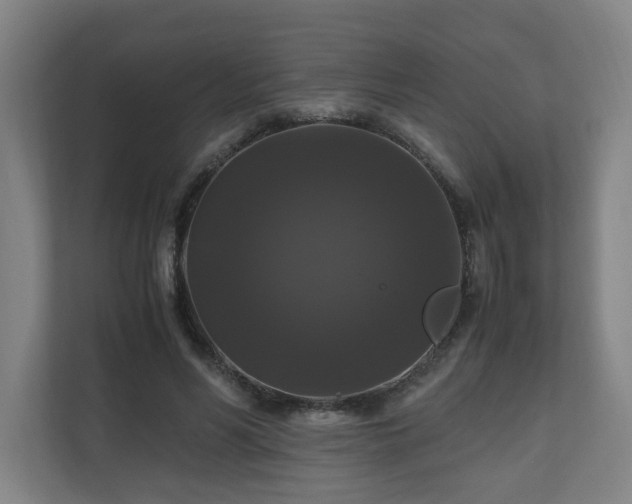 X0000111120590200906301312