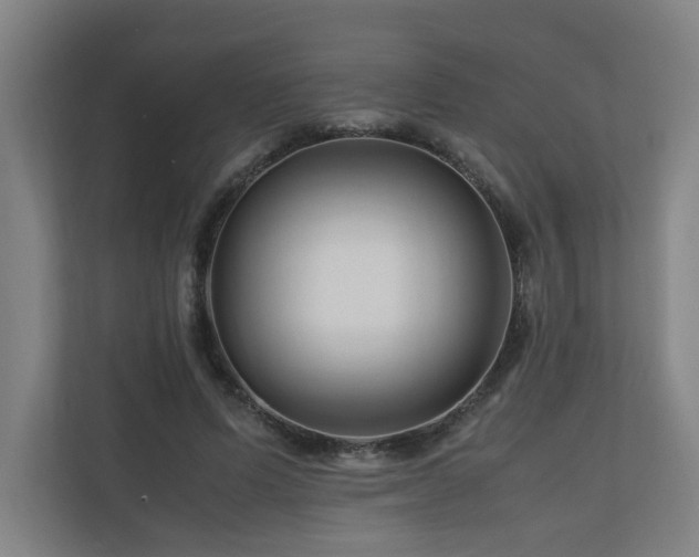 X0000111120591200906301312