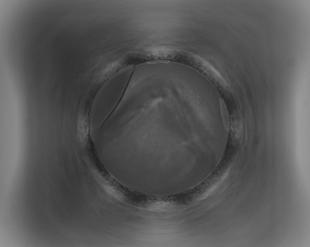 X0000111120593200906301312