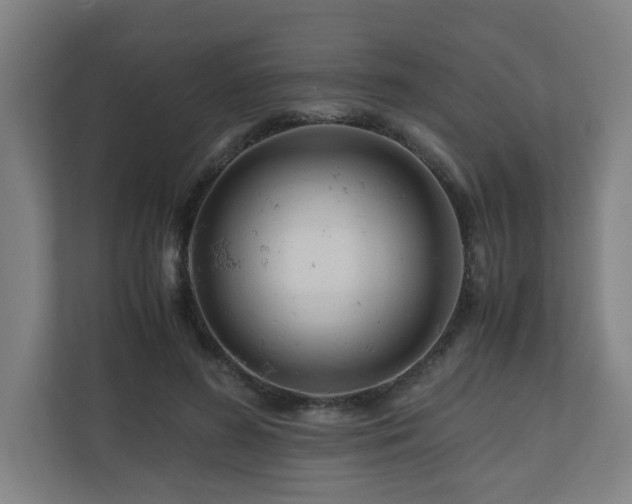 X0000111120596200906301312