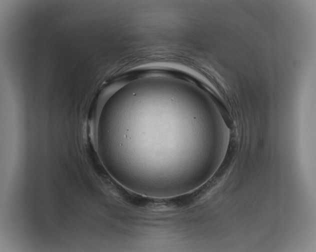 X0000111120597200906301312