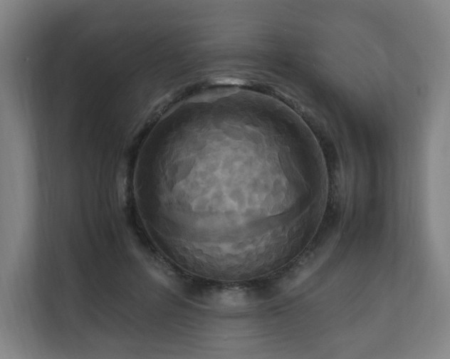 X0000111120600200906301312