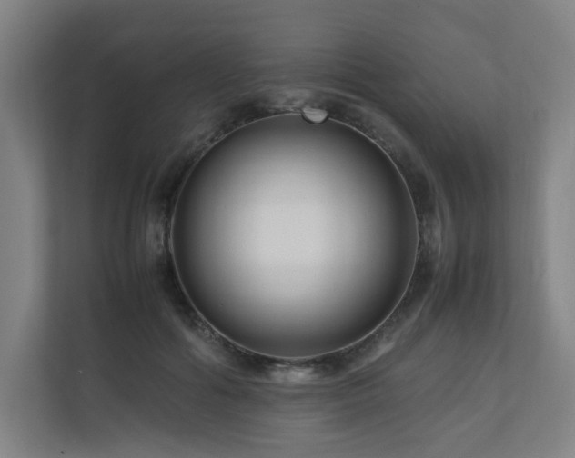 X0000111120602200906301312