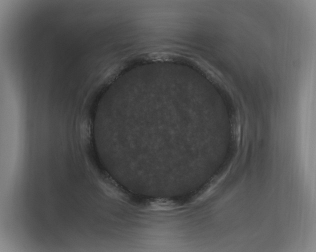 X0000111120603200906301312