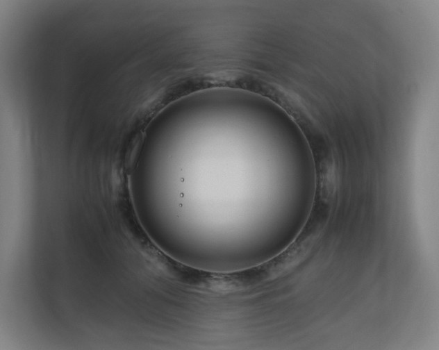 X0000111120608200906301312