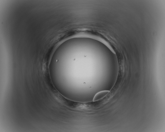 X0000111120611200906301312