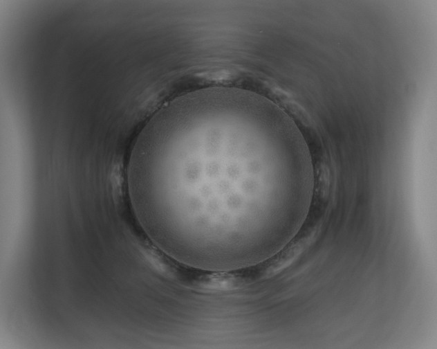 X0000111120612200906301312