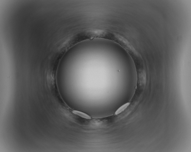 X0000111120613200906301312