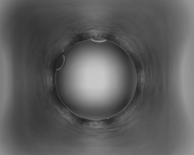 X0000111120615200906301312