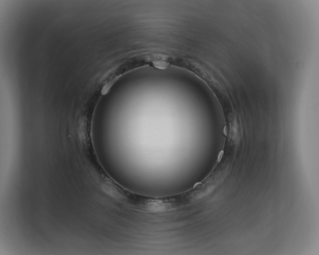 X0000111120616200906301312