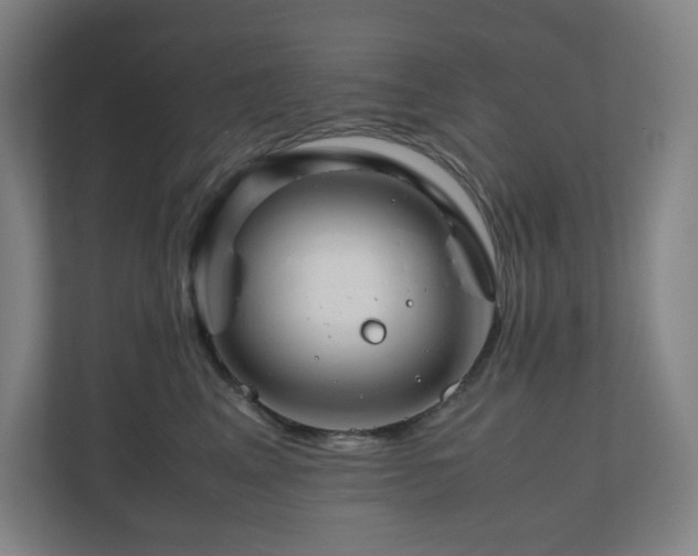 X0000111120617200906301312