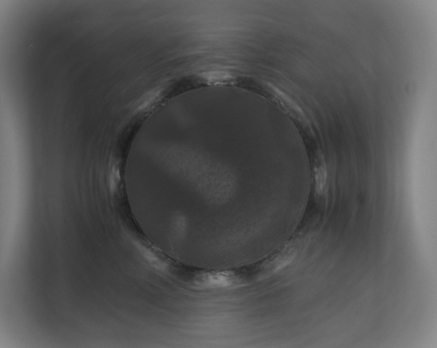 X0000111120618200906301312