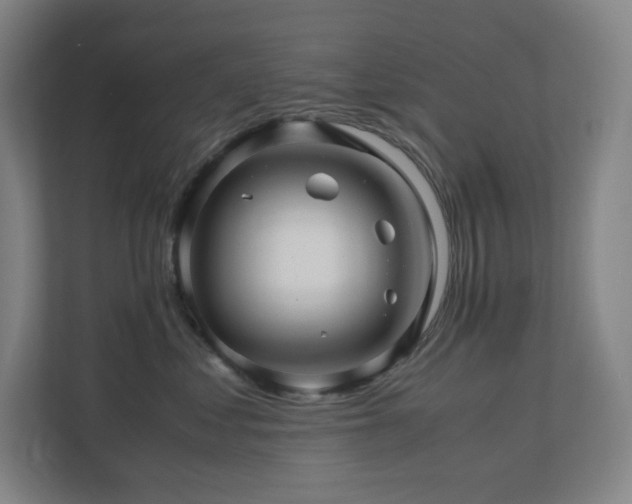 X0000111120621200906301312