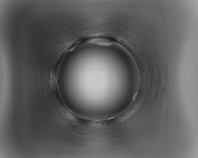 X0000111120624200906301312