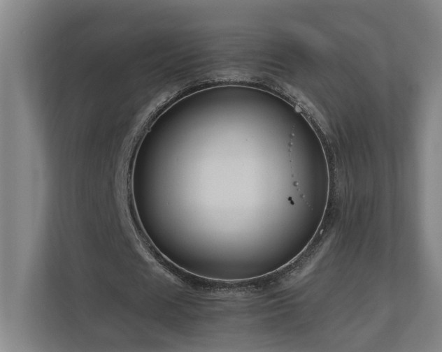 X0000111120625200906301311