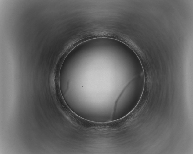 X0000111120626200906301311