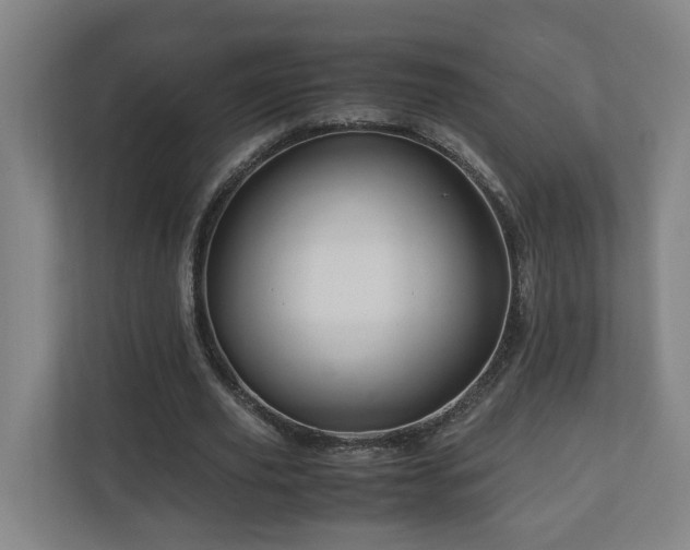 X0000111120629200906301311