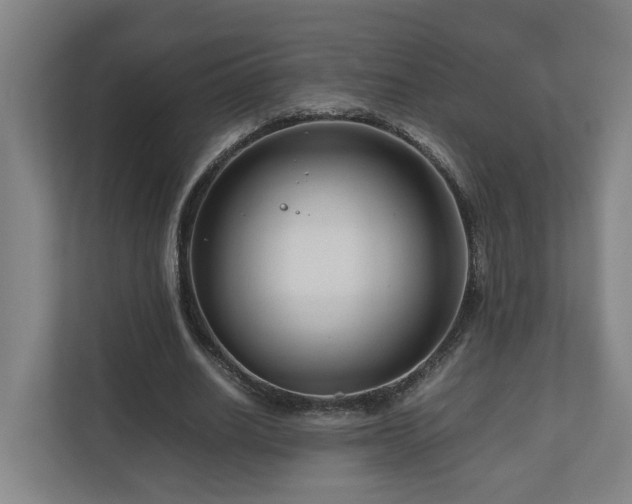 X0000111120630200906301311