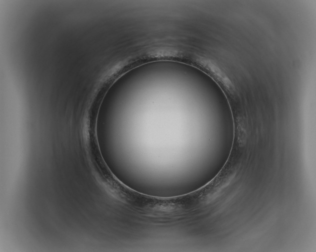 X0000111120631200906301311