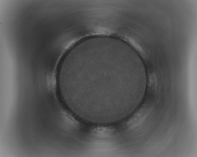 X0000111120632200906301311