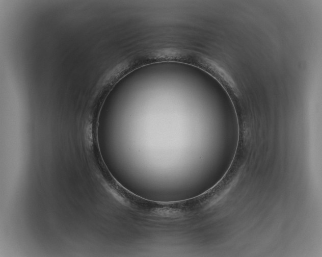 X0000111120633200906301311