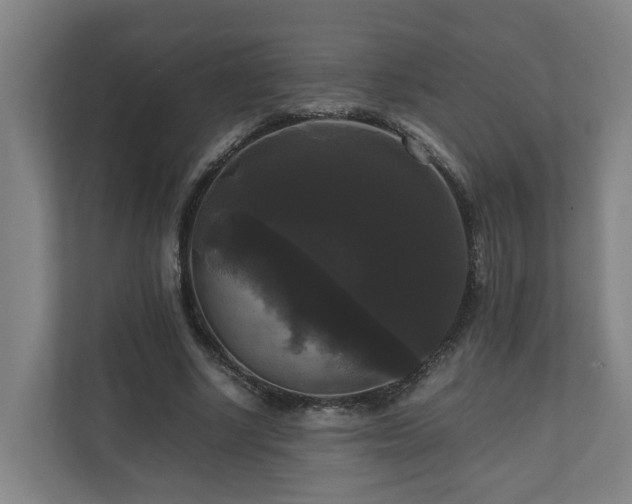 X0000111120634200906301311