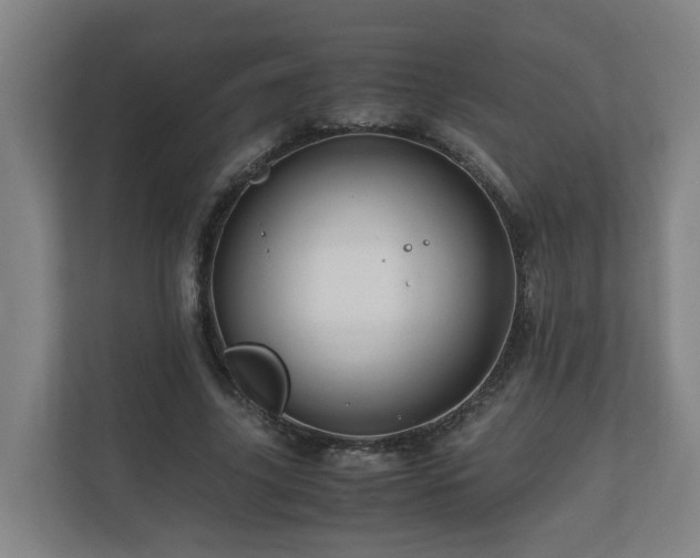 X0000111120635200906301311