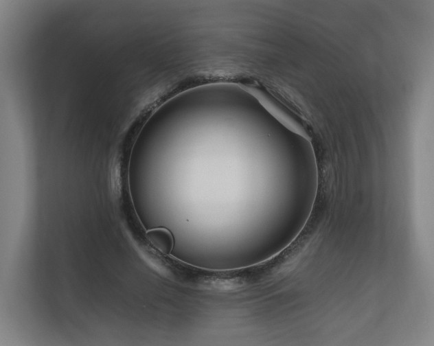 X0000111120638200906301311