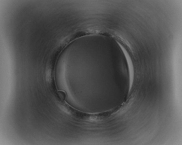 X0000111120641200906301311