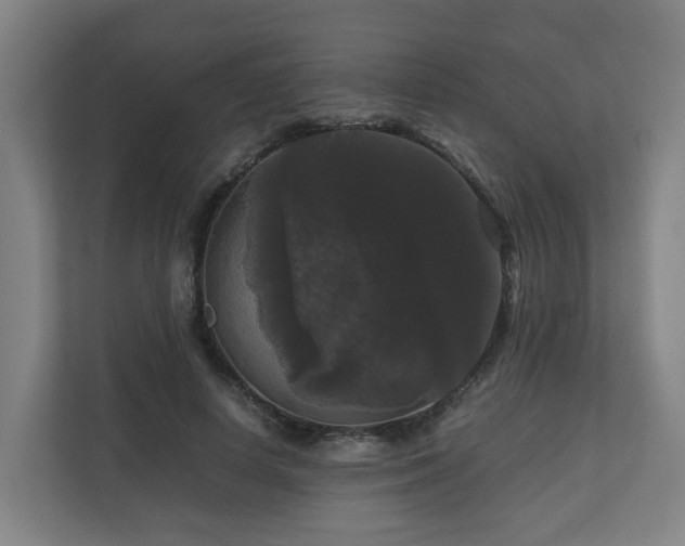 X0000111120642200906301311