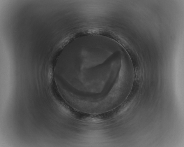 X0000111120648200906301311