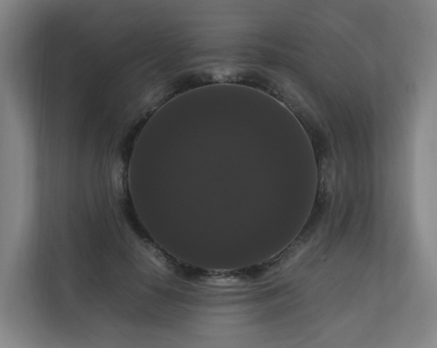 X0000111120650200906301311
