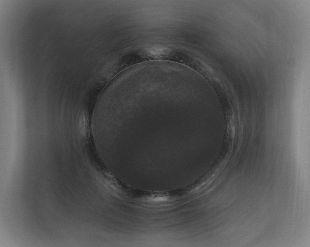 X0000111120651200906301311