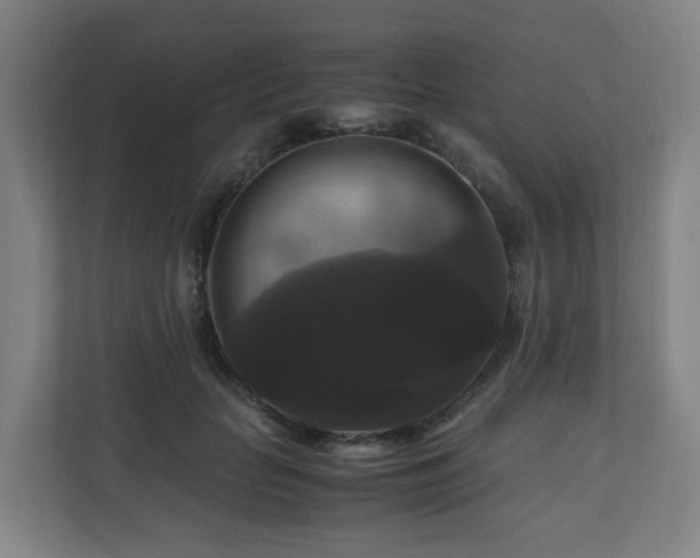 X0000111120653200906301311