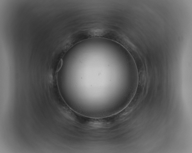 X0000111120655200906301311