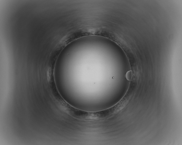 X0000111120656200906301311