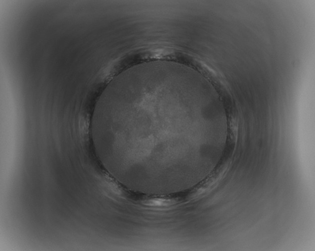 X0000111120657200906301311