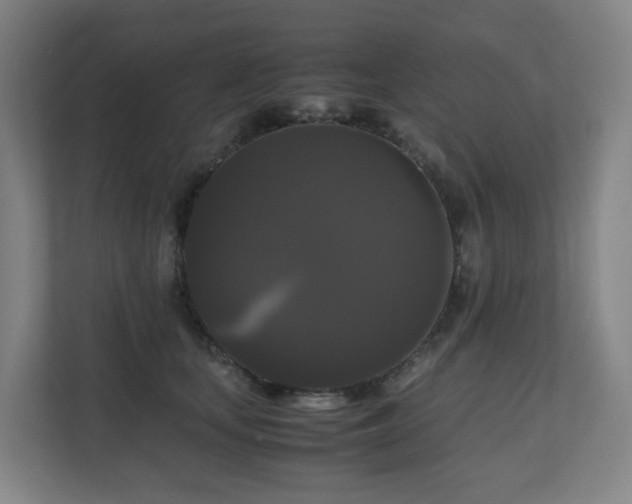 X0000111120659200906301312