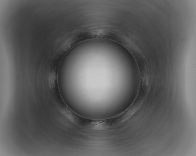 X0000111120660200906301312