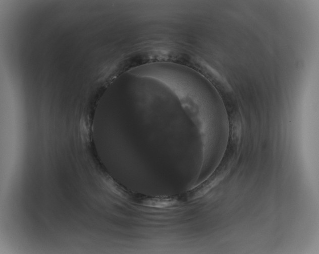 X0000111120661200906301312