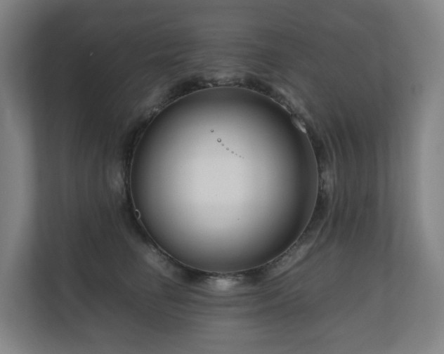 X0000111120662200906301312