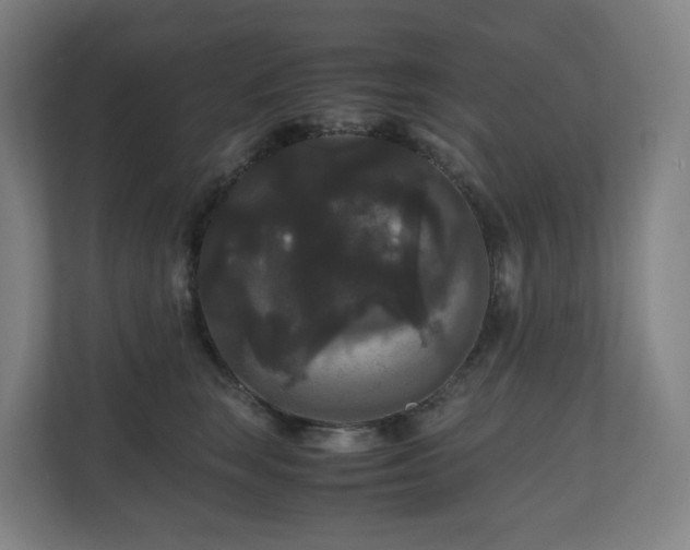 X0000111120663200906301312