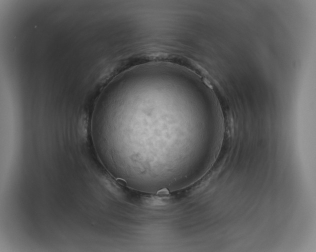 X0000111120664200906301312