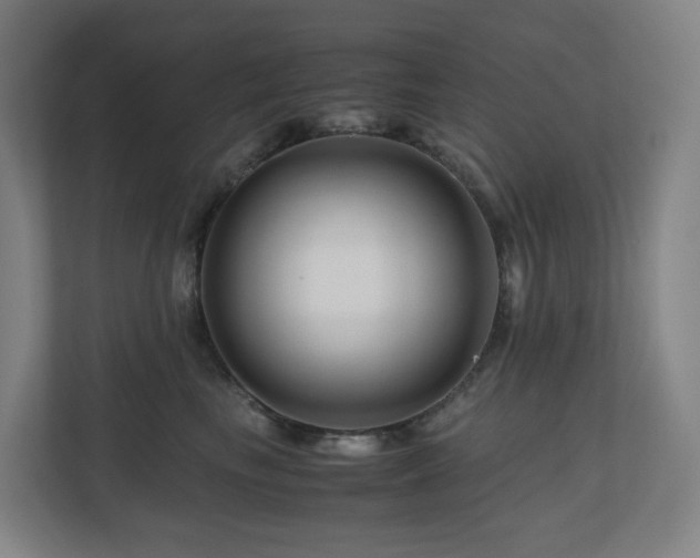 X0000111120665200906301312